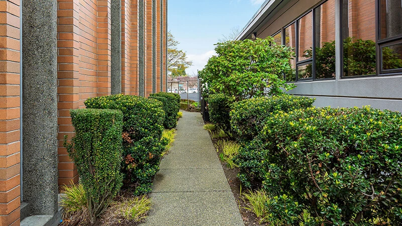 Georgetown - Infants Only