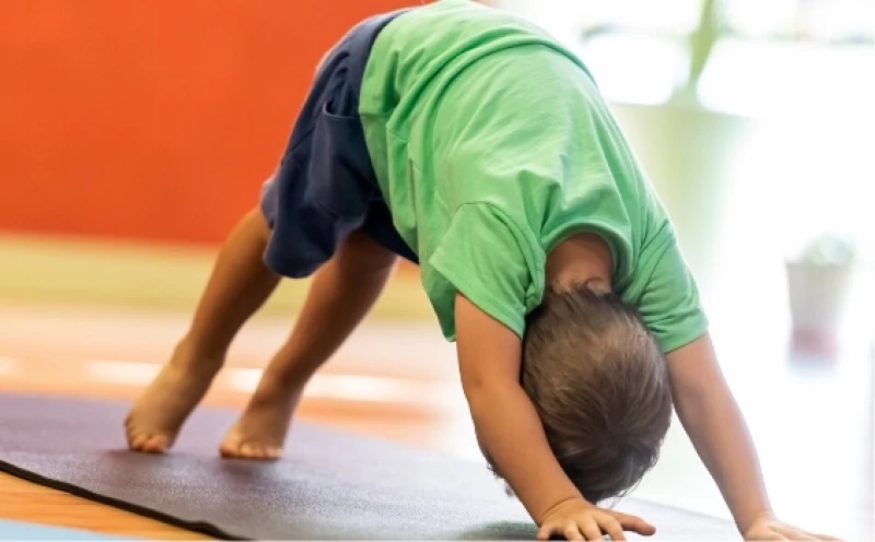 Focus on Health & Wellness